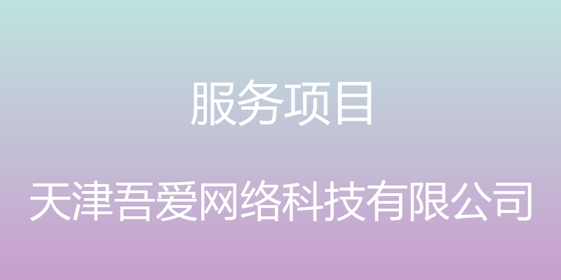 服务项目 - 天津吾爱网络科技有限公司